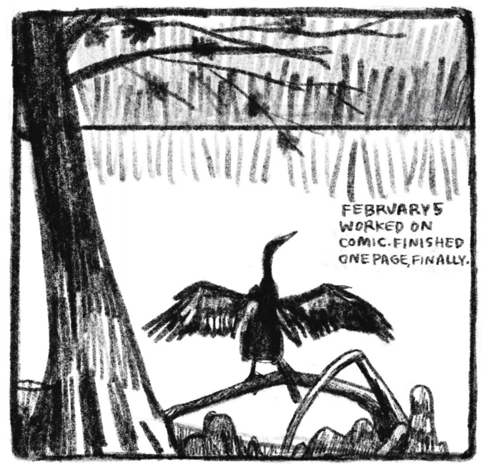 Hold Still Episode 7, Panel 2 "Feb 5. Worked on comic. Finished one page, finally." Drawing of an anhinga drying its wings