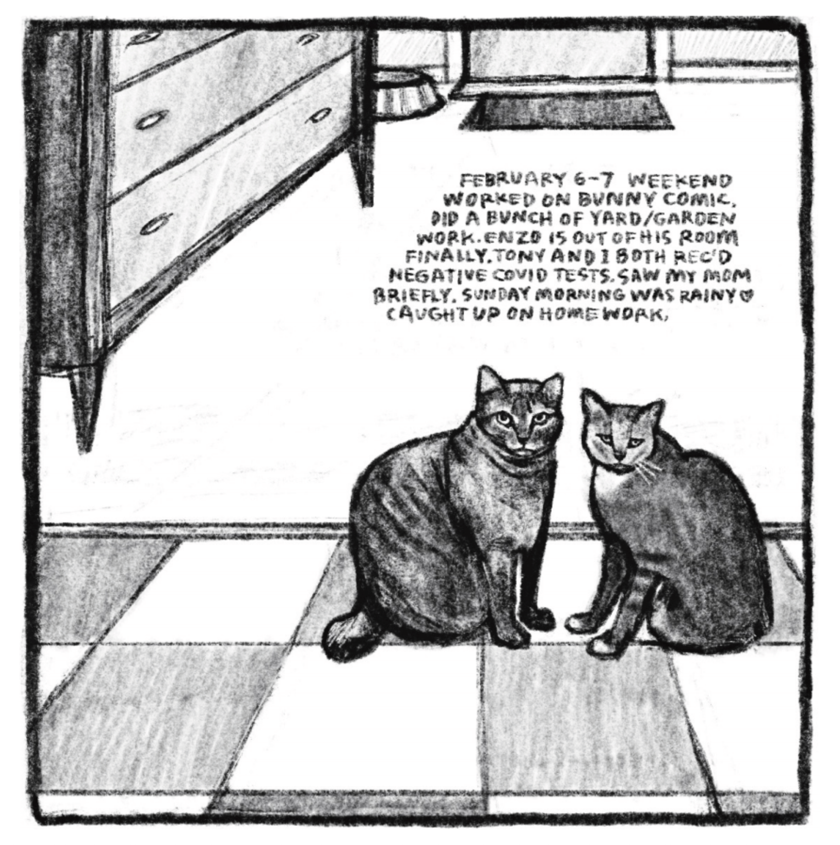 Hold Still Episode 7, panel 3 "February 6-7 weekend / Worked on Bunny comic. Did a bunch of yard/garden work. Enzo is out of his room finally. Tony and I both rec'd negative covid tests. Saw my mom briefly. Sunday morning was rainy <3 Caught up on homework." Drawing of two cats sitting on a rug, looking at the viewer.