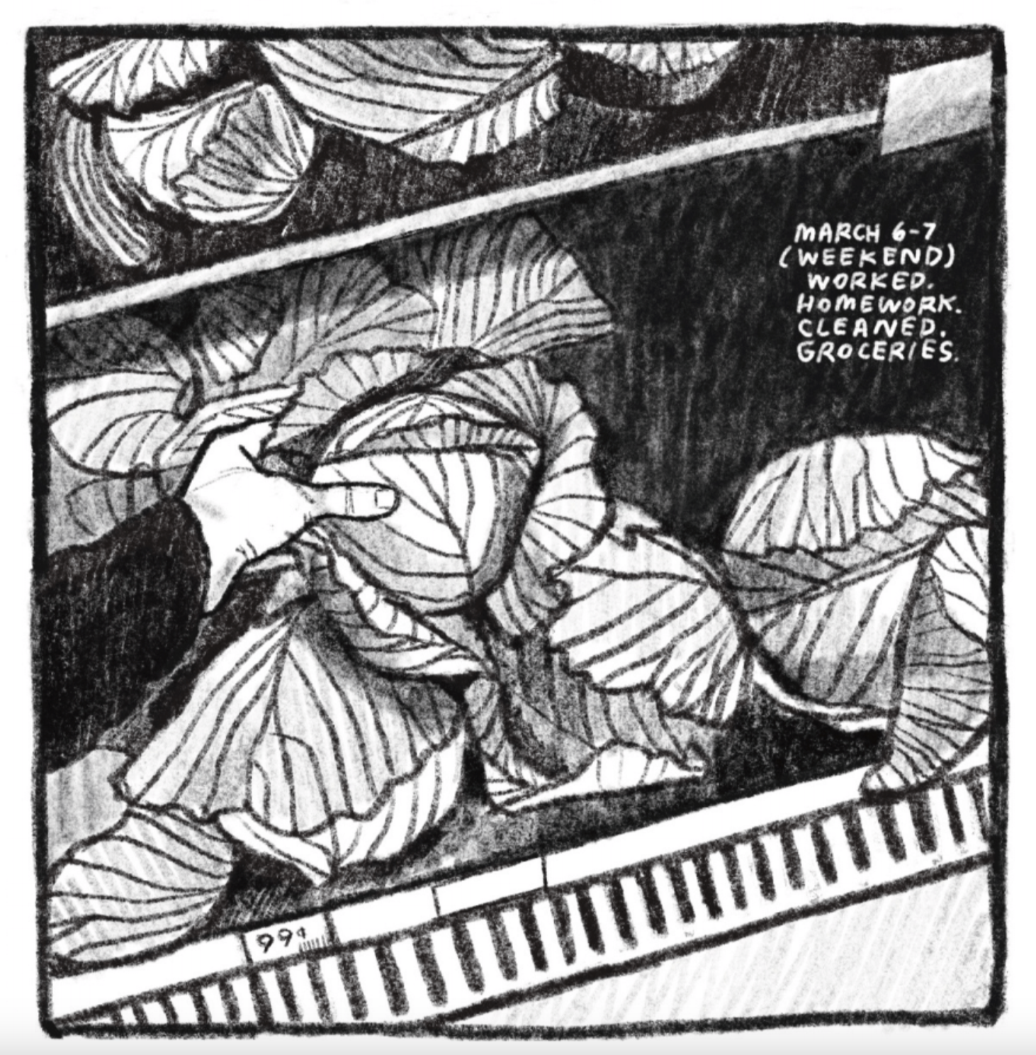 Panel 6
A hand reaches for a head of cabbage in a grocery store shelf/well. A small sign prices them at 99 cents.
Description reads: "MARCH 6-7 (WEEKEND) WORKED. HOMEWORK. CLEANED. GROCERIES."