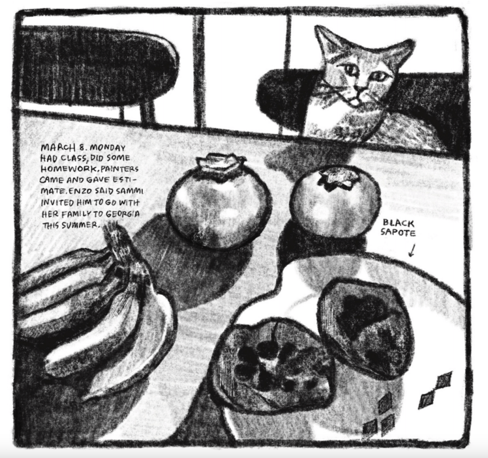 A cat sits upright in a chair at a kitchen table, looking suspiciously at its contents: two pomegranates, a bunch of bananas, and a halved black sapote (explicitly labeled with an arrow).
Description reads: "MARCH 8. MONDAY
HAD CLASS, DID SOME HOMEWORK. PAINTERS CAME AND GAVE ESTIMATE. ENZO SAID SAMMI INVITED HIM TO GO WITH HER FAMILY TO GEORGIA THIS SUMMER."