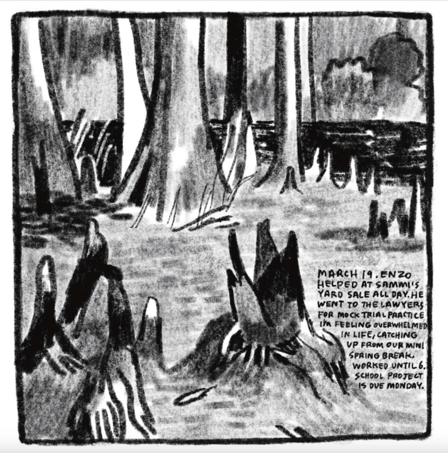 A landscape view of cypress trees in a swamp.
Description reads: "March 19. Enzo helped at Sammi's yard sale all day. He went to the lawyers for mock trial practice. I'm feeling overwhelmed in life, catching up from our mini spring break. Worked until 6. School project is due Monday."
