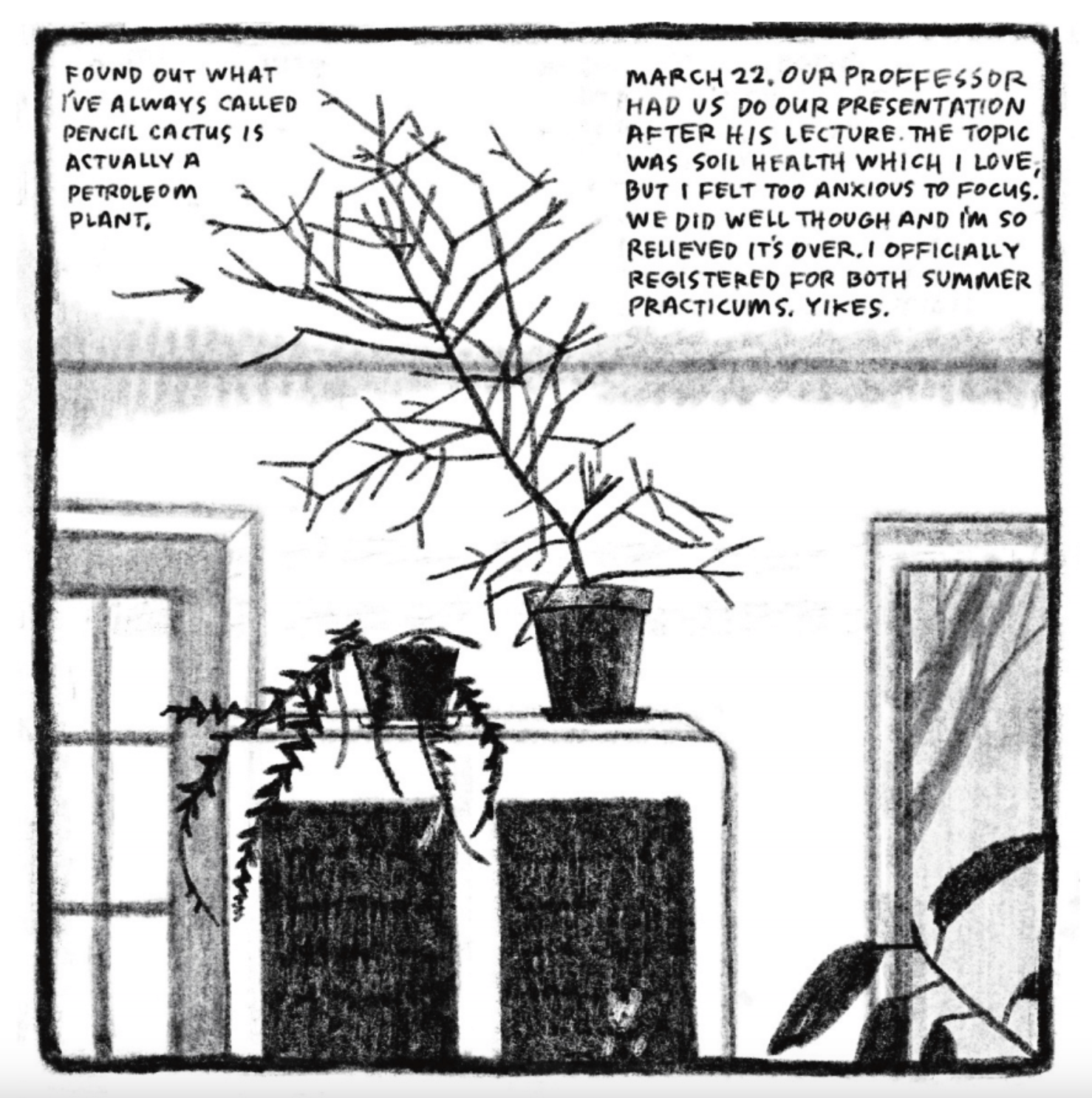 A scene from inside a house: two potted plants sit atop a cabinet. One is a petroleum plant, identified explicitly with an arrow. A French door window is seen to the left, a large picture frame to the right.

Description reads, with an arrow: "Found out what I've always called pencil cactus is actually a petroleum plant.

March 22. Our professor had us do our presentation after his lecture. The topic was soil health which I love, but I felt too anxious to focus. We did well through and I'm so relieved it's over. I officially registered for both summer practicums. Yikes." 