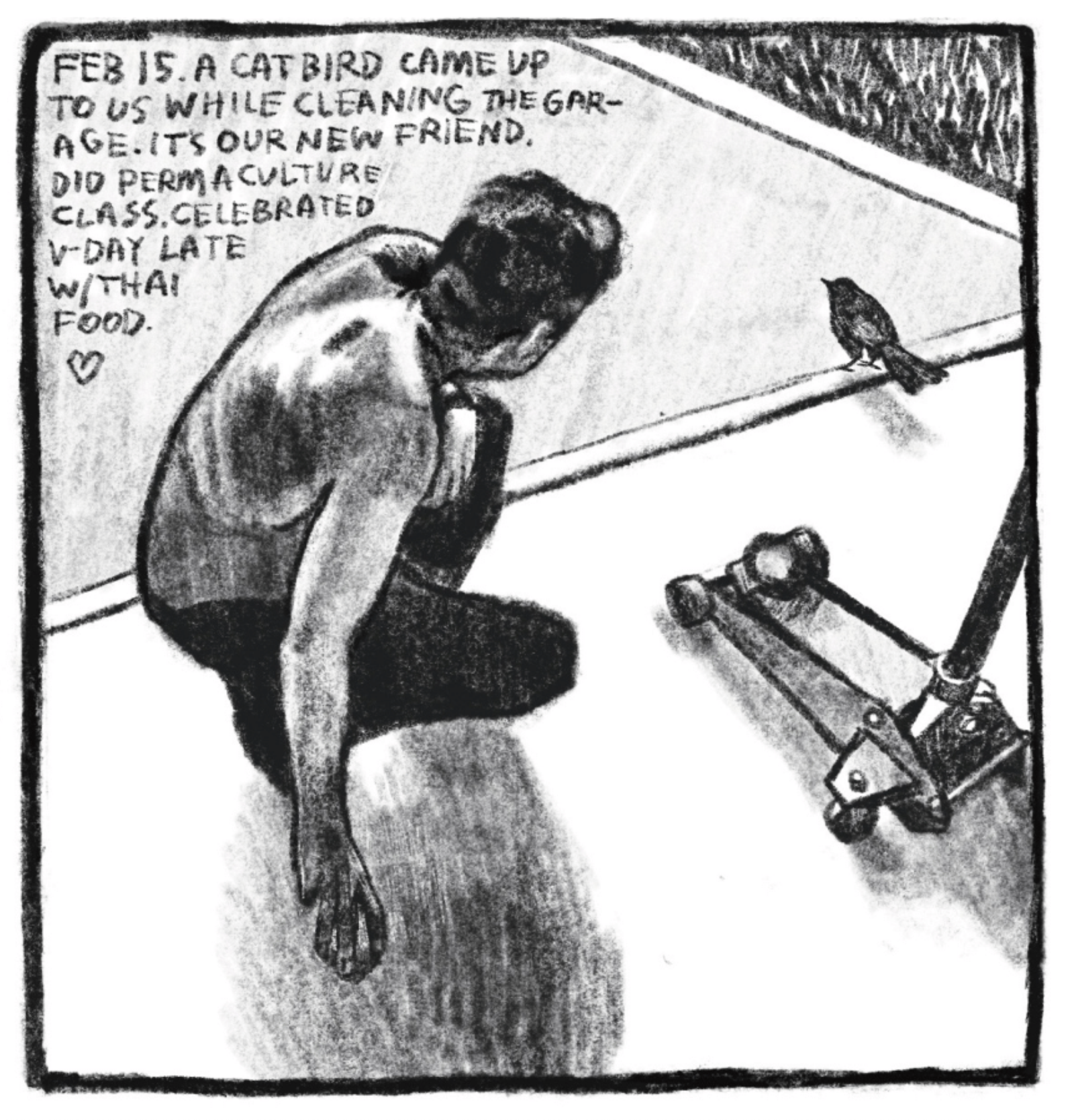 Hold Still Episode 8, Panel 5
"FEB 15. A CAT BIRD CAME UP TO US WHILE CLEANING THE GARAGE. IT'S OUR NEW FRIEND. DID PERMACULTURE CLASS. CELEBRATED V-DAY LATE W/THAI FOOD. <3"
Drawing of a man, whose back is turned to the viewer, crouching down next to a scooter and observing a cat bird.