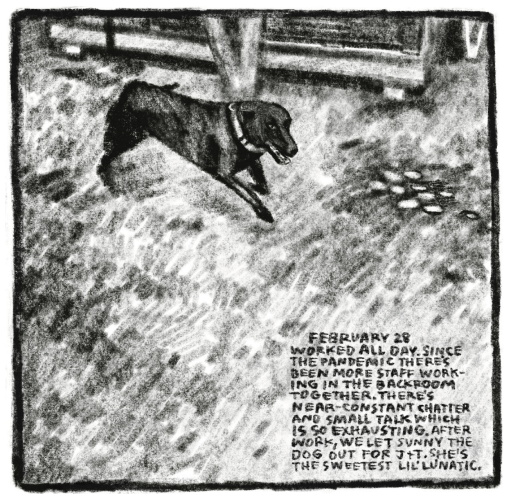 Hold Still Episode 10, panel 5
Drawing of a smiling dog prancing through a yard.
Lower right corner reads: "FEBRUARY 28
WORKED ALL DAY. SINCE THE PANDEMIC THERE'S BEEN MORE STAFF WORKING IN THE BACKROOM TOGETHER. THERE'S NEAR-CONSTANT CHATTER AND SMALL TALK WHICH IS SO EXHAUSTING. AFTER WORK, WE LET SUNNY THE DOG OUT FOR J+T. SHE'S THE SWEETEST LIL' LUNATIC."