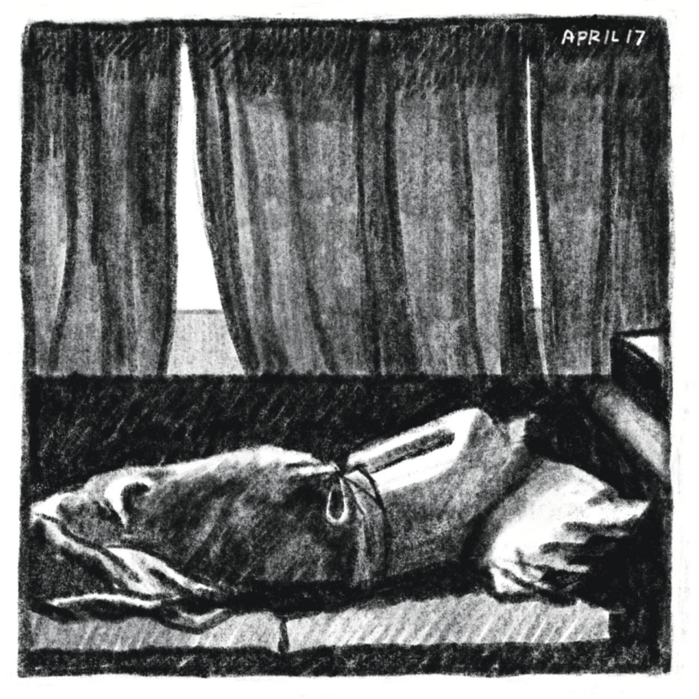 Someone sleeps on their side in bed. They are shirtless, and their legs are wrapped in a blanket. The room is dark - the curtains are almost entirely closed and blocking out the sun.

"April 17."