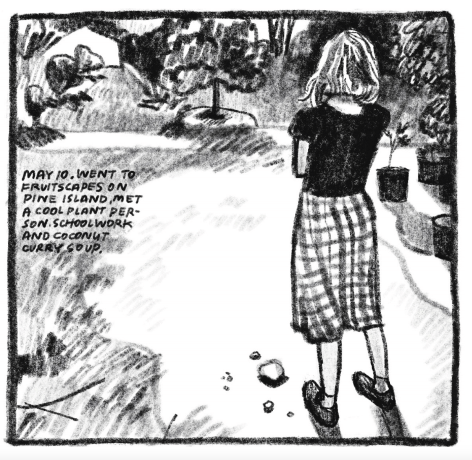 Kim wears a black, short-sleeved blouse a knee-length, checkered skirt, and black loafers.  Back turned to the reader, she looks ahead at the scene in front of her: a field of grass lined by potted plants and a planted trees. 

"May 10. Went to Fruitscapes on Pine Island, met a cool plant person. Schoolwork and coconut curry soup."