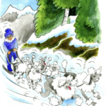 A guy in a blue snow suit races the Iditarod with standard poodles.