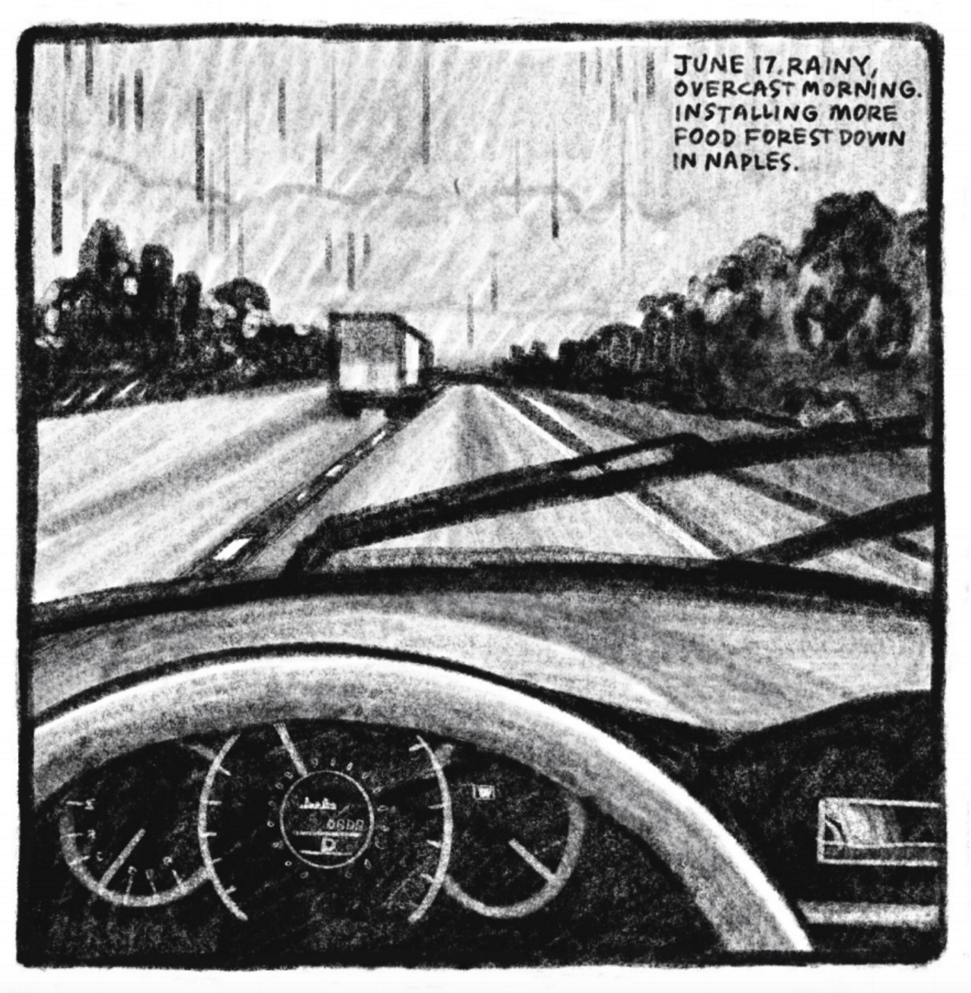 4. A view from the driverâ€™s seat of a car driving on the highway: it is rainy and the windshield wipers are on. Trees line the highway; a commercial truck drives off into the distance up ahead. â€œJune 17. Rainy, overcast morning. Installing more food forest down in Naples.â€