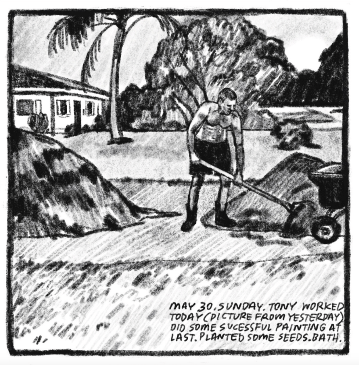 4. Tony is outside, shirtless and wearing shorts and work-boots. He is shoveling mulch (or dirt) from one of two large piles; there is a wheel barrow to the side. In the background are a house, a palm tree, and other trees and bushes. â€œMay 30, Sunday. Tony worked today (picture from yesterday). Did some successful painting at last. Painted some seeds. Bath.â€