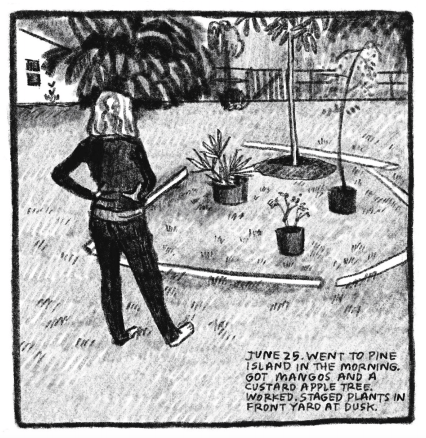 Kim stands, facing away from the reader, with her hands on her hips. She is wearing a black long-sleeve shirt and blank pants. Her feet are bare; she stands in grass. She is outside looking at a plot of a garden, enclosed by five logs. In the plot are two potted plants, a potted young tree and a planted tree. There is a fence in the background, along with other trees and a house. "June 25. Went to Pine Island in the morning. Got mangos and a custard apple tree. Worked. Staged plants in front yard at dusk."