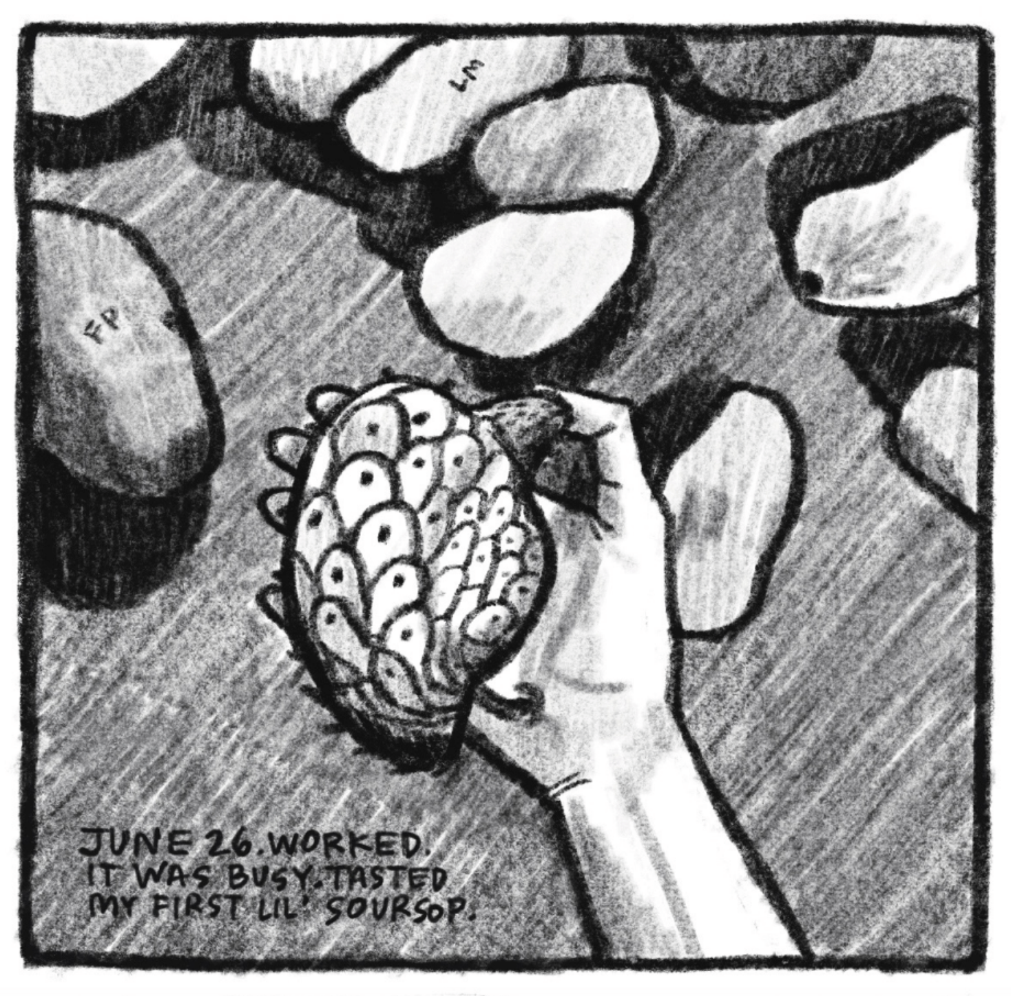 1. A close-up view of Kim holding a soursop in her hand. It is a fruit the size of a mango that looks similar to a pineapple, as if itâ€™s covered in armor. Other fruits sit on the table. â€œJune 26. Worked. It was busy. Tasted my first lilâ€™ soursop.â€