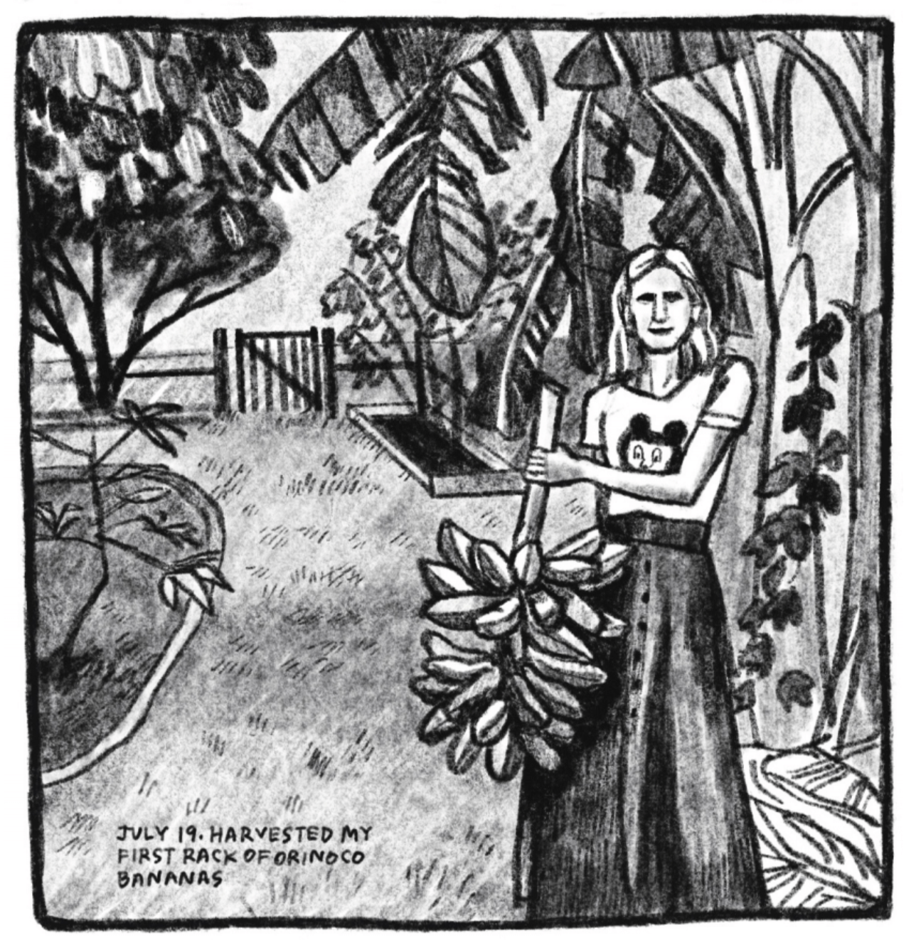 6. Kim stands in a back-yard garden, posing with a rack of bananas. She is framed by the leaves of her banana tree. There are other trees and plants in plots behind her. She is smiling softly and wearing a graphic tee and a maxi skirt. â€œJuly 19. Harvested my first rack of orinoco bananas.â€