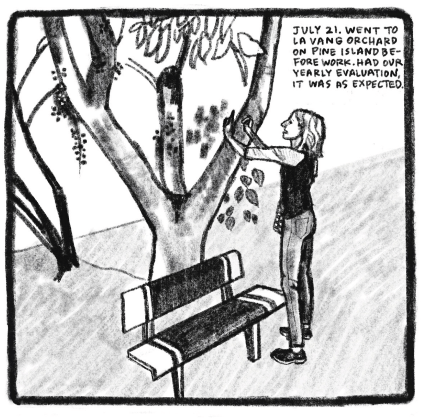 2. Kim stands outside in front of a park bench and a tree. The tree has a short trunk which then divides into three main branches; some leaves come down from overhead. Kim is holding her hands out towards the tree, making a frame with her fingers as if to measure the proportions of the tree for a drawing reference. She is wearing a baseball tee, skinny jeans, and loafers. She is smiling while observing the tree. â€œJuly 21. Went to La Vang Orchard on Pine Island before work. Had our yearly evaluation. It was as expected.â€