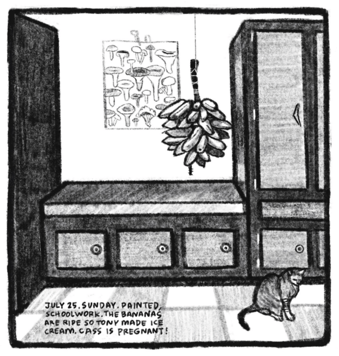 5. A view of inside Kimâ€™s house: the cushioned bench with built-in drawers is sandwiched by two large cabinet chests/wardrobes. The mushroom poster is on the wall. The rack of orinoco bananas hangs on a string from the ceiling. Kimâ€™s cat sits on the floor in front of the furniture. â€œJuly 25. Sunday. Painted, schoolwork. The bananas are ripe so Tony made ice cream. Cass is pregnant!â€