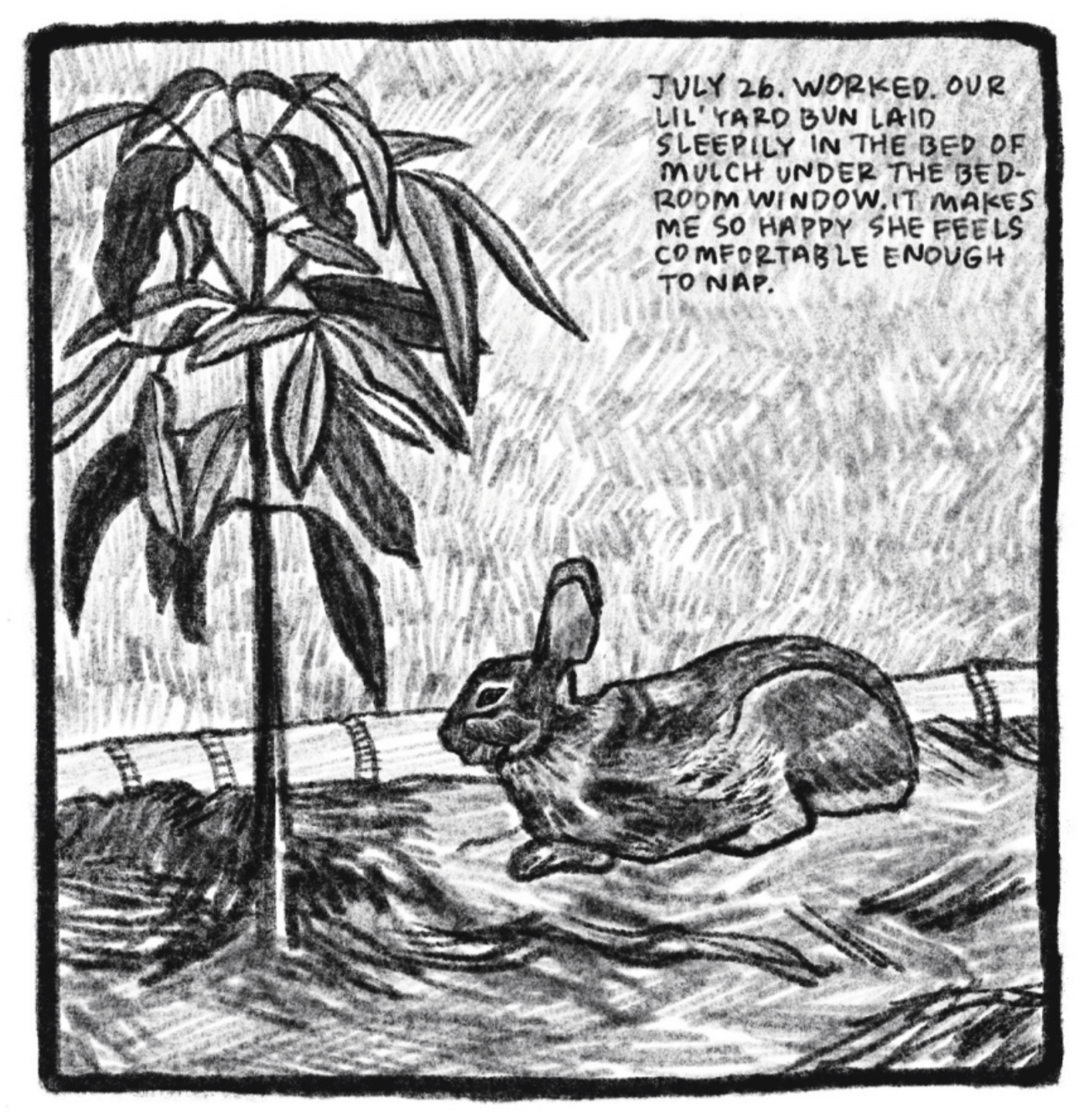 6. A little rabbit lies on a bed of mulch next to a sapling. â€œJuly 26. Worked. Our lilâ€™ yard bun laid sleepily in the bed of mulch under the bedroom window. It makes me so happy she feels comfortable enough to nap.â€