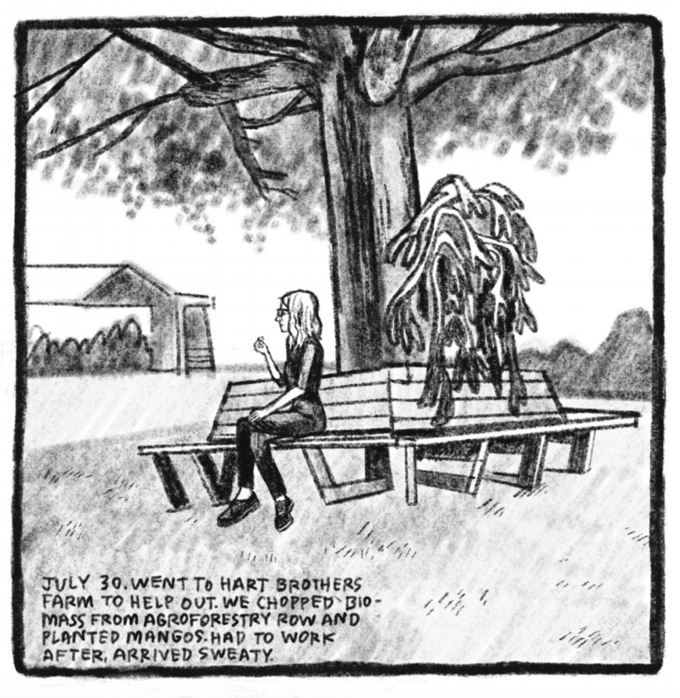 4. Kim sits on one side of a corner bench outside on a field of grass. The bench surrounds a tree with a large trunk; its leaves and branches overhead make it a shady area to sit. Next to the tree is a large mass of vines or moss hanging over the other side of the bench, to Kimâ€™s right. She looks towards her left off into the distance. In the background is a bush-lined building to the left and more bushes or trees to the right. â€œJuly 30. Went to Hart Brothers Farm to help out. We chopped biomass from Agroforestry Row and planted mangos. Had to work after. Arrived sweaty.â€
