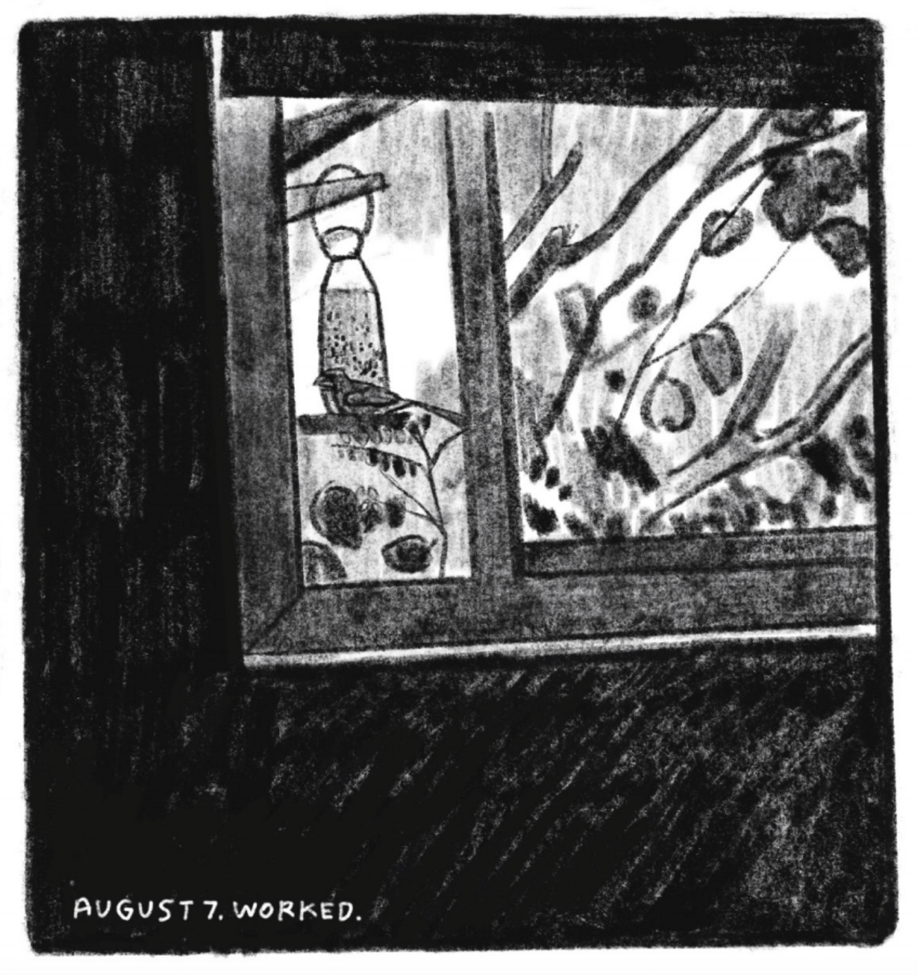 5. A view from a window: there are tree branches with sparse leaves, and a cardinal perched on a bird feeder. â€œAugust 7. Worked.â€