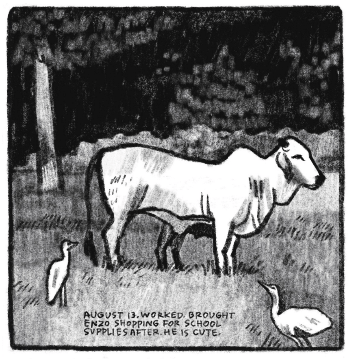 3. A Brahman cow, with its signature hump, stands in a field, facing the right of the panel. There are two cattle egrets standing to the cowâ€™s right, in the foreground. â€œAugust 13. Worked. Brought Enzo shopping for school supplies after. He is cute.â€