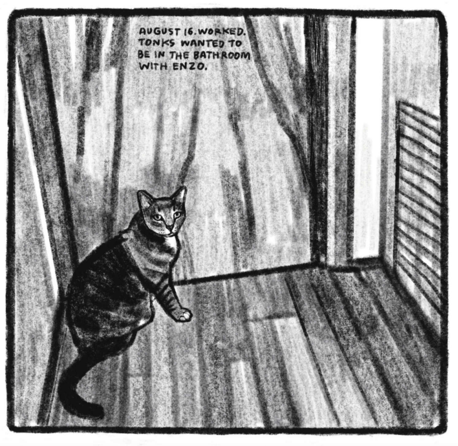 Kimâ€™s cat, Tonks, sits and waits at a closed door. Tonks looks up expectantly at the reader/photographer. â€œAugust 16. Worked. Tonks wanted to be in the bathroom with Enzo.â€