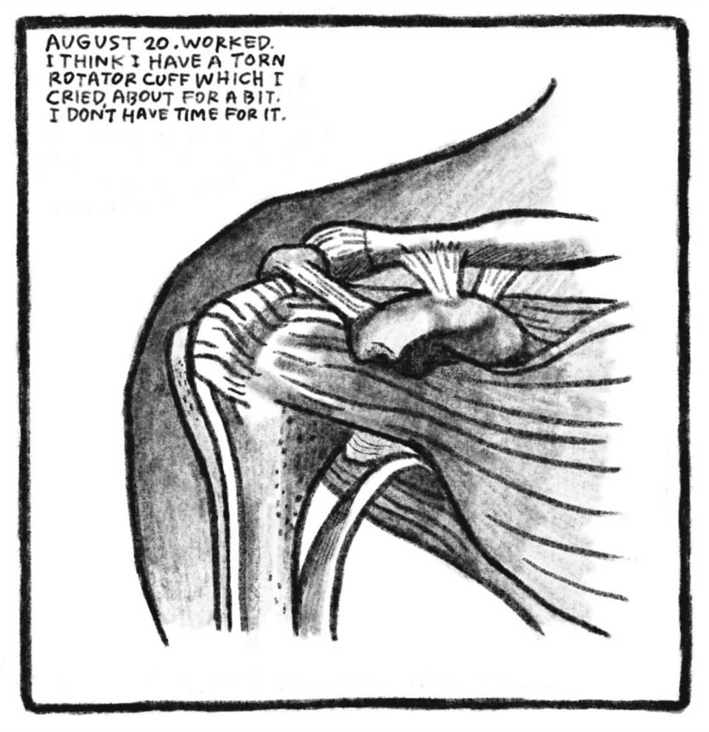 A muscle diagram of a right shoulder. â€œAugust 20. Worked. I think I have a torn rotator cuff which I cried about for a bit. I donâ€™t have time for it.â€