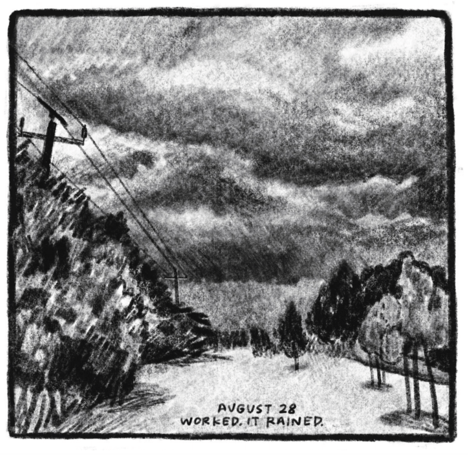 A landscape scene of a path dotted by trees on the right and fully lined by bushes, trees, and a power line on the left. The sky is completely filled with dark clouds. â€œAugust 28. Worked. It rained.â€