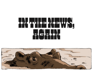 Across a white background and in an old western style font, the words "IN THE NEWS, AGAIN" are written in black and centered. Below the title is a cropped image of the eyes and snout of an alligator peaking out of the water, rendered in brown tones.