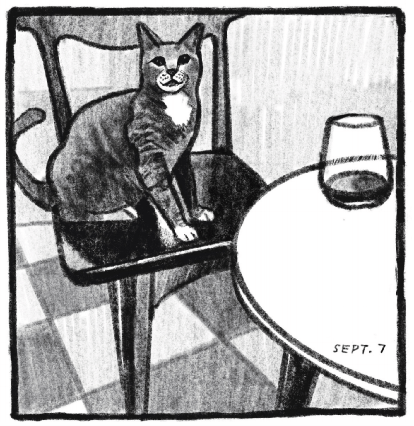 Tonks the cat sits in a kitchen chair, smiling at the reader/photographer. On the table in front of him is a stemless wine glass, mostly empty. â€œSept. 7.â€