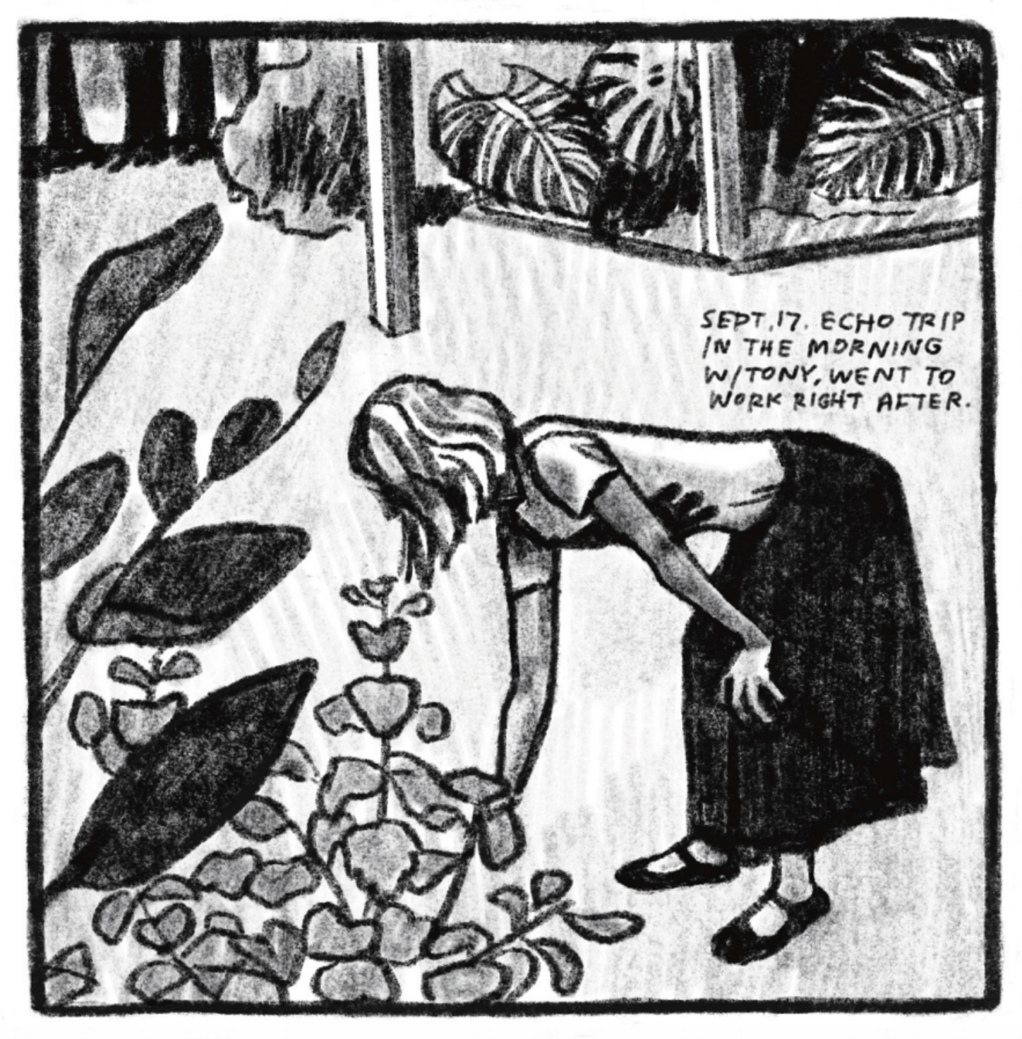 Kim is standing outside, bending over at a right angle so her back is parallel to the ground, touching the leaf of a pretty plant. She is wearing a graphic T and a long skirt, along with mary janes. In the background are more cool looking plants, including some with large, tropical leaves, and wooden posts. â€œSeptember 17. Echo trip in the morning with Tony. Went to work right after.â€