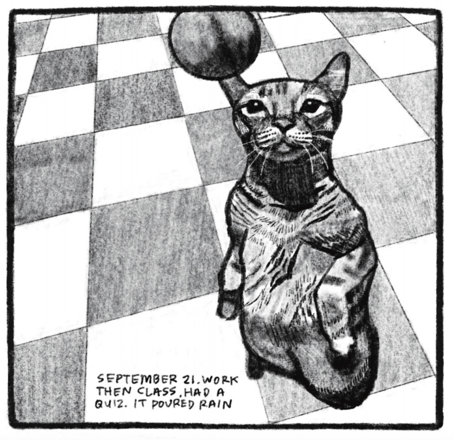 Tonks the cat is standing on his hind legs, looking up with dilated pupils at a toy ball hanging above his head. He is standing on a checkered tile floor. â€œSeptember 21. Work then class. Had a quiz. It poured rain.â€