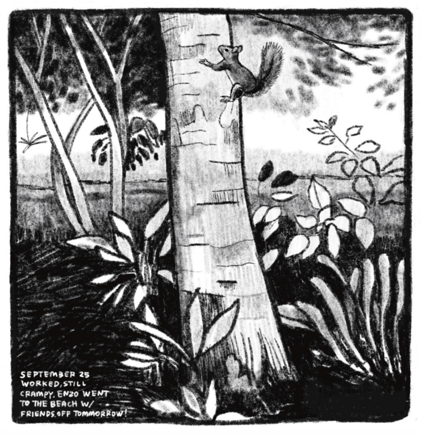 A tree trunk stands out among smaller plants and shrubs. A squirrel is climbing the tree, its tale sticking straight up. There are trees with thinner trunks and branches in the background. It is a shady scene, with leaves and branches overhead. â€œSeptember 25. Worked. Still crampy. Enzo went to the beach with friends. Off tomorrow!â€