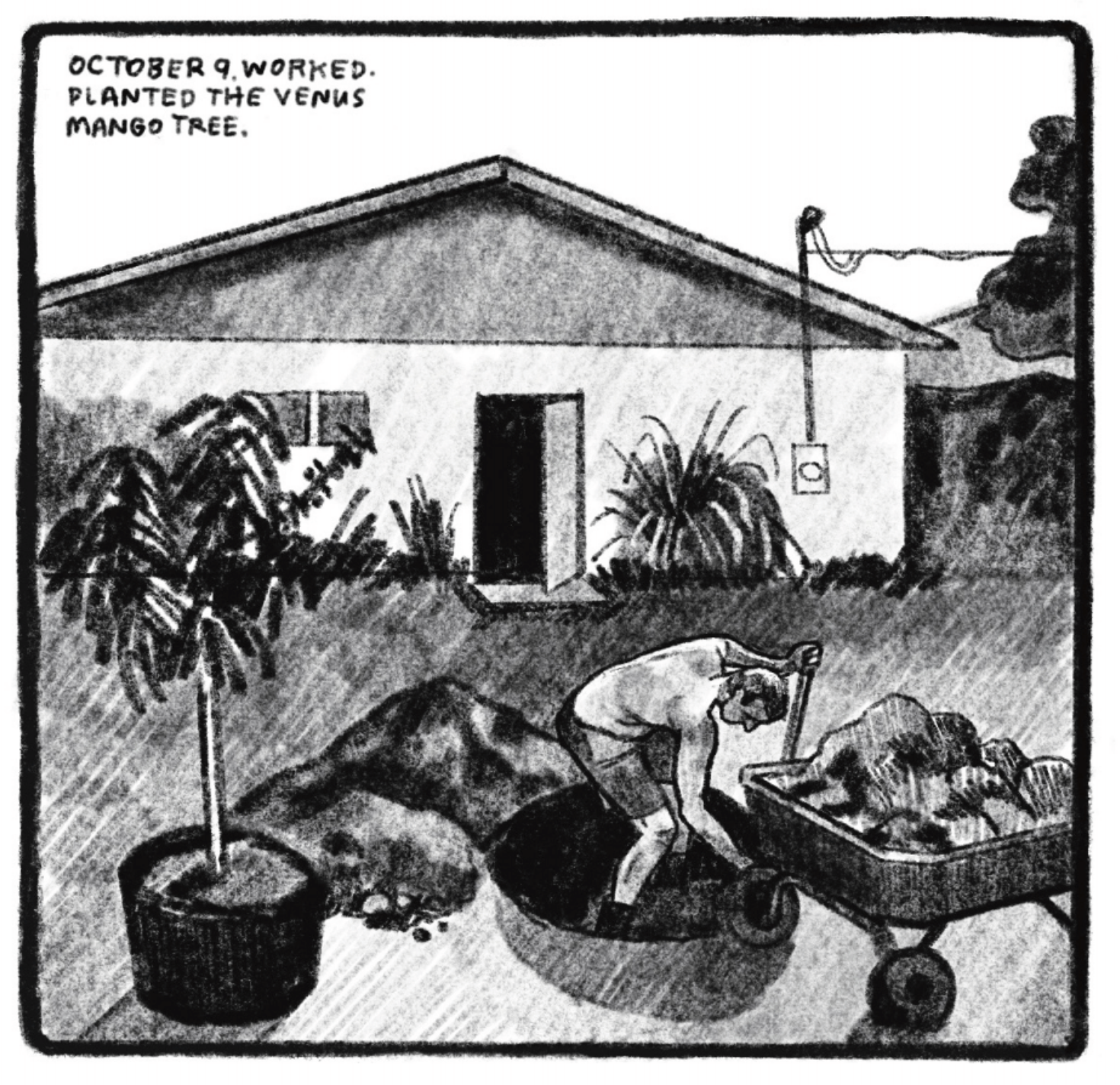 Tony is standing out his house in a large pot meant for a planted tree. He is shoveling soil from a wheel barrow into the pot. There is a pile of dirt behind him, and an already potted tree off to his side. â€œOctober 9. Worked. Planted the Venus mango tree.â€