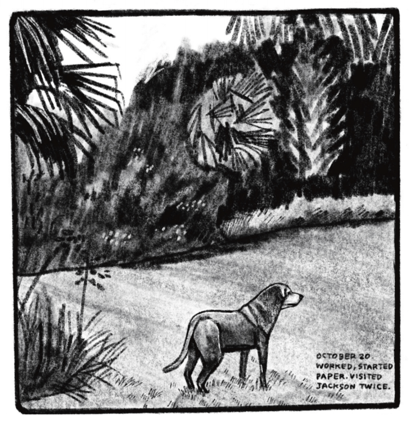 Kimâ€™s dog stands outside in a field, looking off into the distance ahead of him. There are palm trees, flowers, shrubs, and a thicket of trees in the background and to the side, half-framing the panel. â€œOctober 20. Worked, started paper. Visited Jackson twice.â€