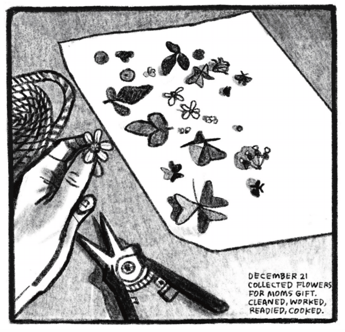 Kimâ€™s hand holds a little flower; in front of her is a sheet of paper covered with other little flowers of different types. Next to it is a pair of small shears. â€œDecember 21. Collected flowers for Momâ€™s gift. Cleaned, worked, readied, cooked.â€