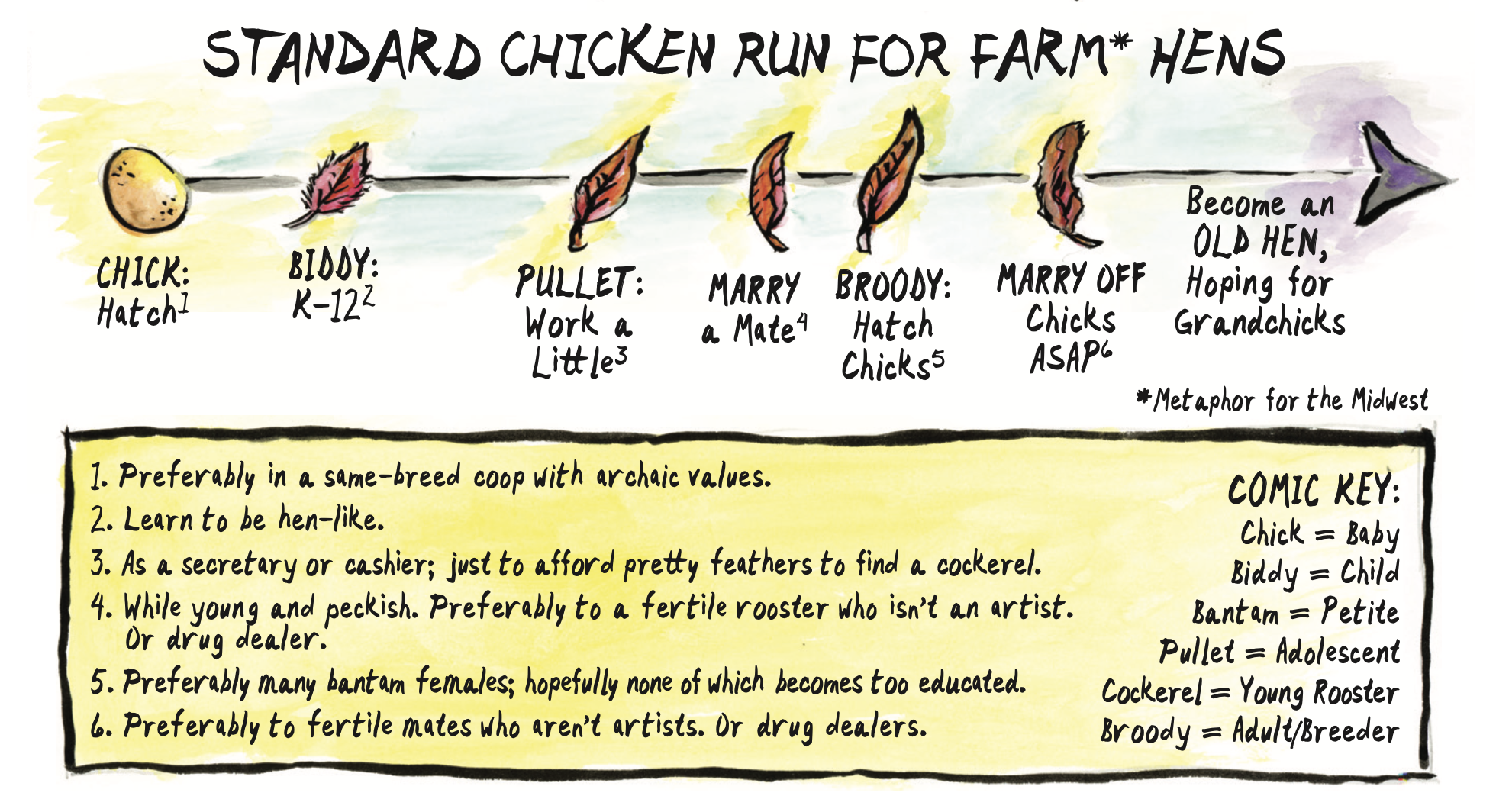 A timeline chart with footnotes explaining each point, labeled with the following text: â€œStandard chicken run for farm* (*metaphor for the Midwest) hens: Chick: Hatch (1. Preferably in a same-breed coop with archaic values.) Biddy: K-12 (2. Learn to be hen-like.â€ Pullet: Work a little (3. As a secretary or cashier; just to afford pretty feathers to find a cockerel.) Marry a mate (4. While young and peckish. Preferably to a fertile rooster who isnâ€™t an artist. Or drug dealer.) Broody: Hatch chicks (5. Preferably many bantam females; hopefully none of which becomes too educated.) Marry off chicks ASAP (6. Preferably to fertile mates who arenâ€™t artists. Or drug dealers.) Become an old hen, hoping for grand chicks. Comic key: Chick = baby Biddy = child Bantam = petite Pullet = adolescent Cockerel = young rooster Broody = adult/breederâ€