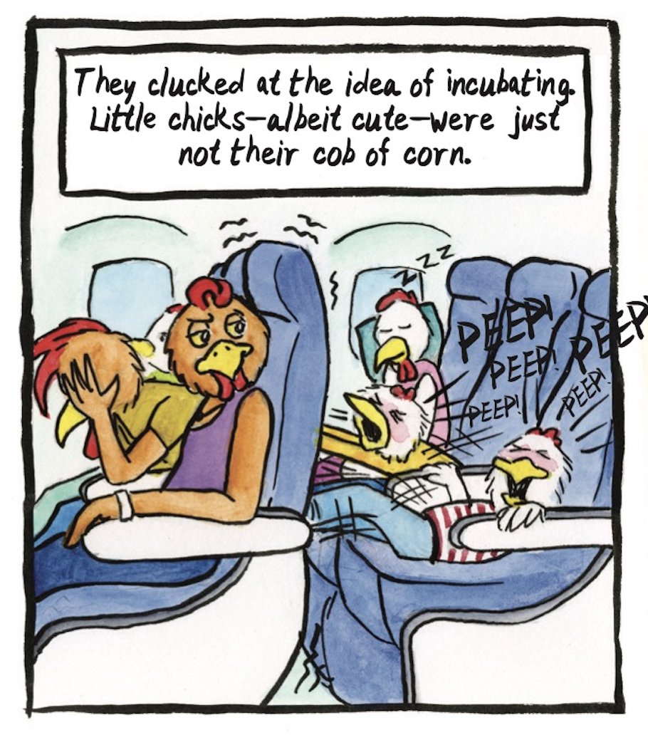 â€œThey clucked at the idea of incubating. Little chicksâ€”albeit cuteâ€”were just not their cob of corn.â€ The red hen and rooster sit on an airplane looking annoyed as screaming kids kick their seats from behind.