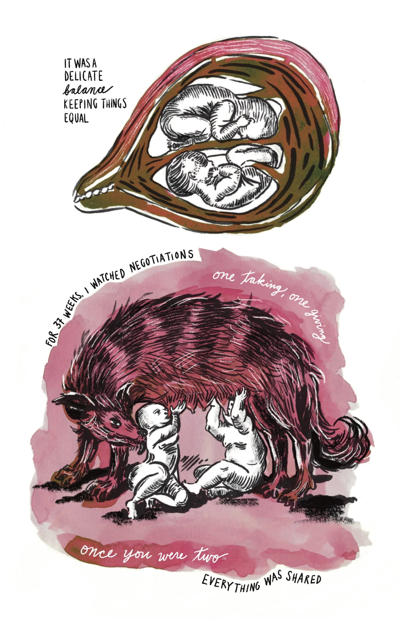 â€œIt was a delicate balance keeping things equal / for 37 weeks, I watched negotiations / one taking, one giving / once you were two / everything was sharedâ€

Two fetuses crouch next to each other in the womb, their heads each at the otherâ€™s feet. The two babies out of the womb suckle the teats of a wolf.