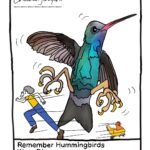 ChickenScratch! Hummingbird Comic