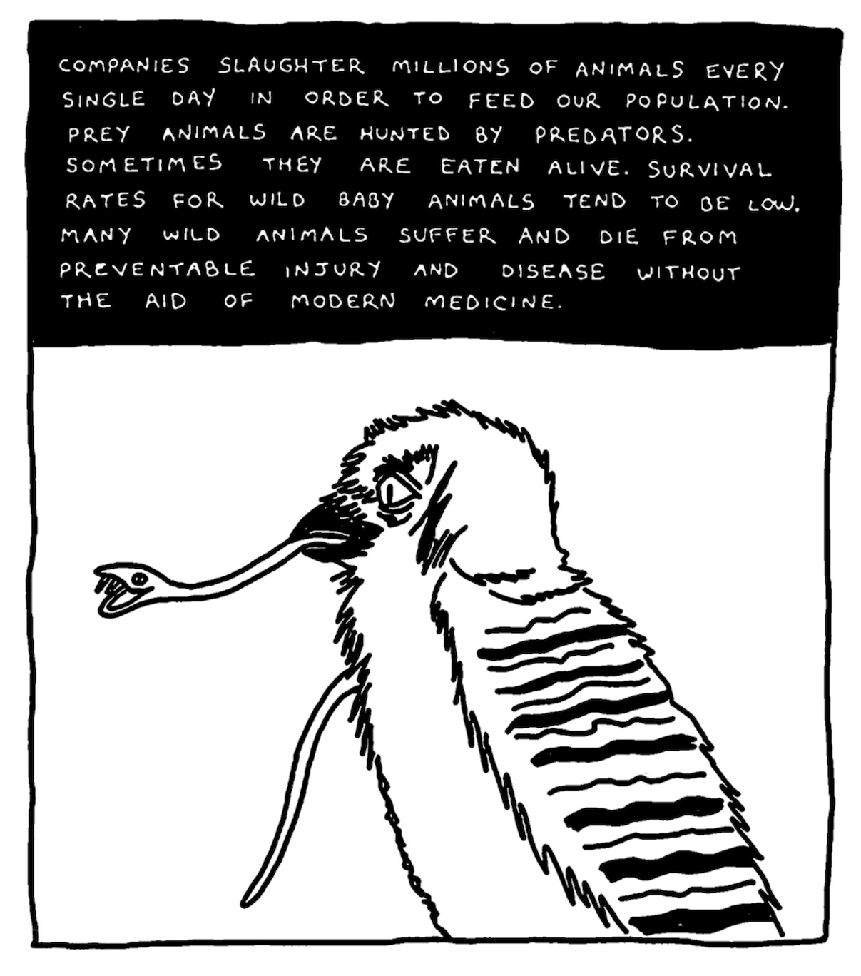 â€œCompanies slaughter millions of animals every single day in order to feed our population. Prey animals are hunted by predators. Sometimes they are eaten alive. Survival rates for wild baby animals tend to be low. Many wild animals suffer and die from preventable injury and disease without the aid of modern medicine.â€ A tiny snake bares its fangs, hanging out of the beak of a bird.