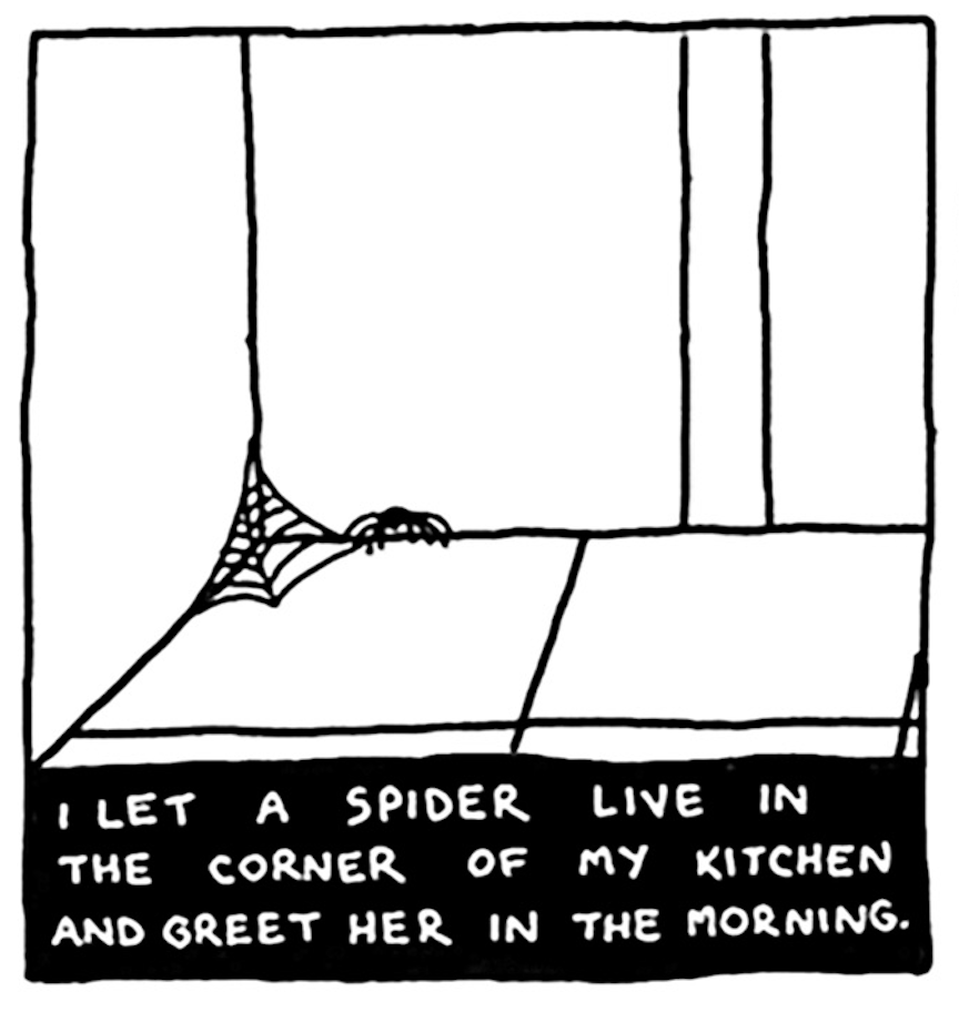 â€œI let a spider live in the corner of my kitchen and greet her in the morning.â€ A spider stands by her web in the corner of a room.