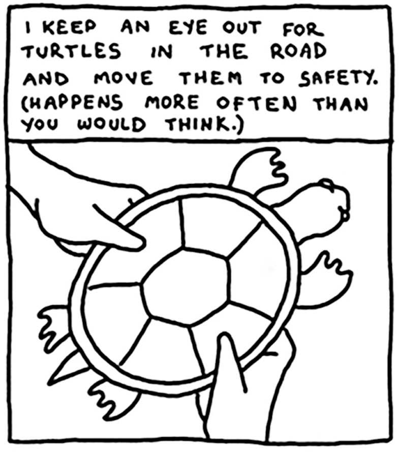 â€œI keep an eye out for turtles in the road and move them to safety. (Happens more often than you would think.) A turtle is held in the hands of a human.