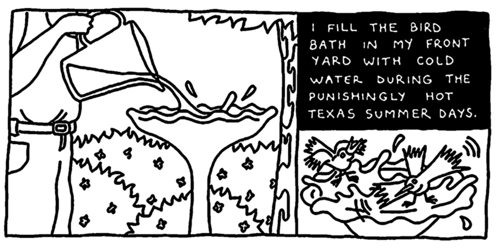 â€œI fill the bird bath in my front yard with cold water during the punishingly hot Texas summer days.â€ Cowboy Rocky fills a bird bath with water; little birds splash around in it.