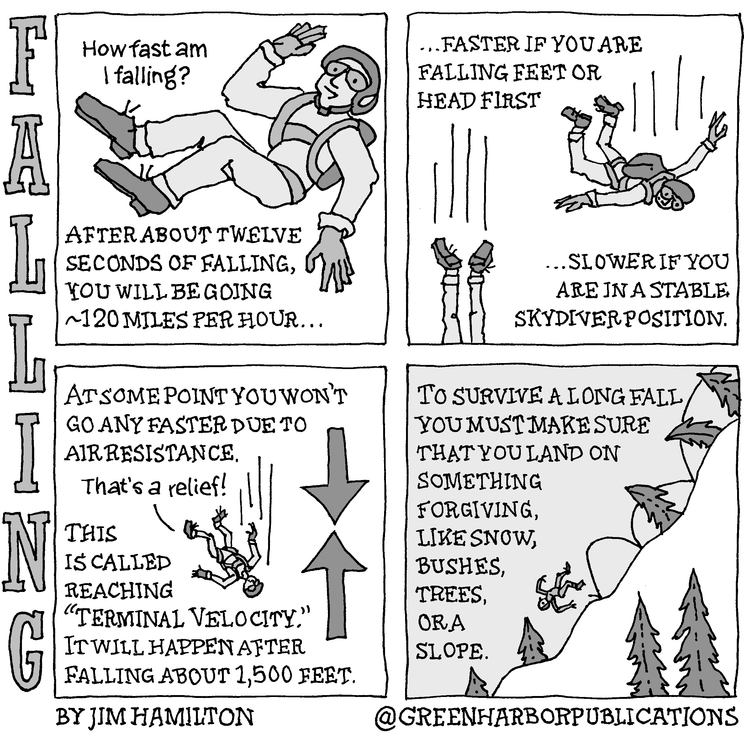 Panel 1: A man in mid-air asks: How fast am I falling? The narrator says: After about twelve seconds of falling, you will be going ~120 miles per hourâ€¦ Panel 2: The narrator continues: â€¦faster if you are falling feet or head firstâ€¦slower if you are in a stable skydiver position. The illustrations show one skydiver in a stable position and one diving headfirst. You only see the head-first diverâ€™s legs and feet. Panel 3: The narrator continues: At some point you wonâ€™t go any faster due to air resistance. A falling skydiver whose parachute has not opened says, â€œThatâ€™s a relief!â€ The narrator continues: This is called reaching terminal velocity. It will happen after falling about 1,500 feet. Panel 4: The narrator explains: To survive a long fall you must make sure that you land on something forgiving, like snow, bushes, trees, or a slope. This cartoon is part of a series called Falling. It is written and drawn by Jim Hamilton who can be found on Instagram at Green Harbor Publications (all one word, greenharborpublications).