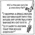 Will a mouse survive a one-story fall?