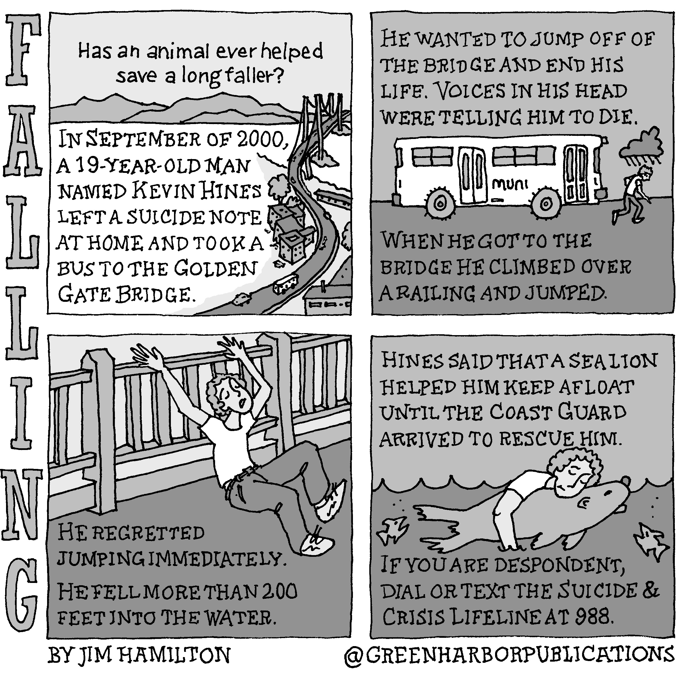 Panel 1:
In the sky above a hilly horizon is the question, â€œHas an animal ever helped save a long faller?â€ At the left are the words, â€œIn September of 2000, a 19-year-old man named Kevin Hines left a suicide note at home and took a bus to the Golden Gate Bridge.â€ To the right of these words, a highway winds its way through buildings toward a massive bridge.
Panel 2:
On a dark background we see a white city bus with the acronym â€˜MUNIâ€™ on its side. A person exits the bus, walking to the right edge of the panel. Dressed in a t-shirt and dark pants, it is clear that the person is depressed because of the dark rain cloud over their head. Above the bus are the words, â€œHe wanted to jump off of the bridge and end his life. Voices in his head were telling him to die.â€ The text continues below the bus, â€œWhen he got to the bridge he climbed over the railing and umped.
Panel 3:
At the top of the panel is a drawing of the young man as he begins to fall. The railing of the bridge is directly behind him. Below him is the text, â€œHe regretted jumping immediately. He fell more than 200 feet into the water.
Panel 4: 
At the top of the panel on a gray background is the text, â€œHines said that a sea lion helped him keep afloat until the Coast Guard arrived to rescue him.â€ Below this text is a drawing of Hines clinging to a sea lion. Through the efforts of the sea lion, Hines is able to hold his head above water. Two fish look on in amazement. Below this, on a dark gray background, are the words, If you are despondent, dial or text the Suicide and Crisis Lifeline at 988.â€
This cartoon is part of a series called Falling. It is written and drawn by Jim Hamilton who can be found on Instagram at Green Harbor Publications (all one word, greenharborpublications).