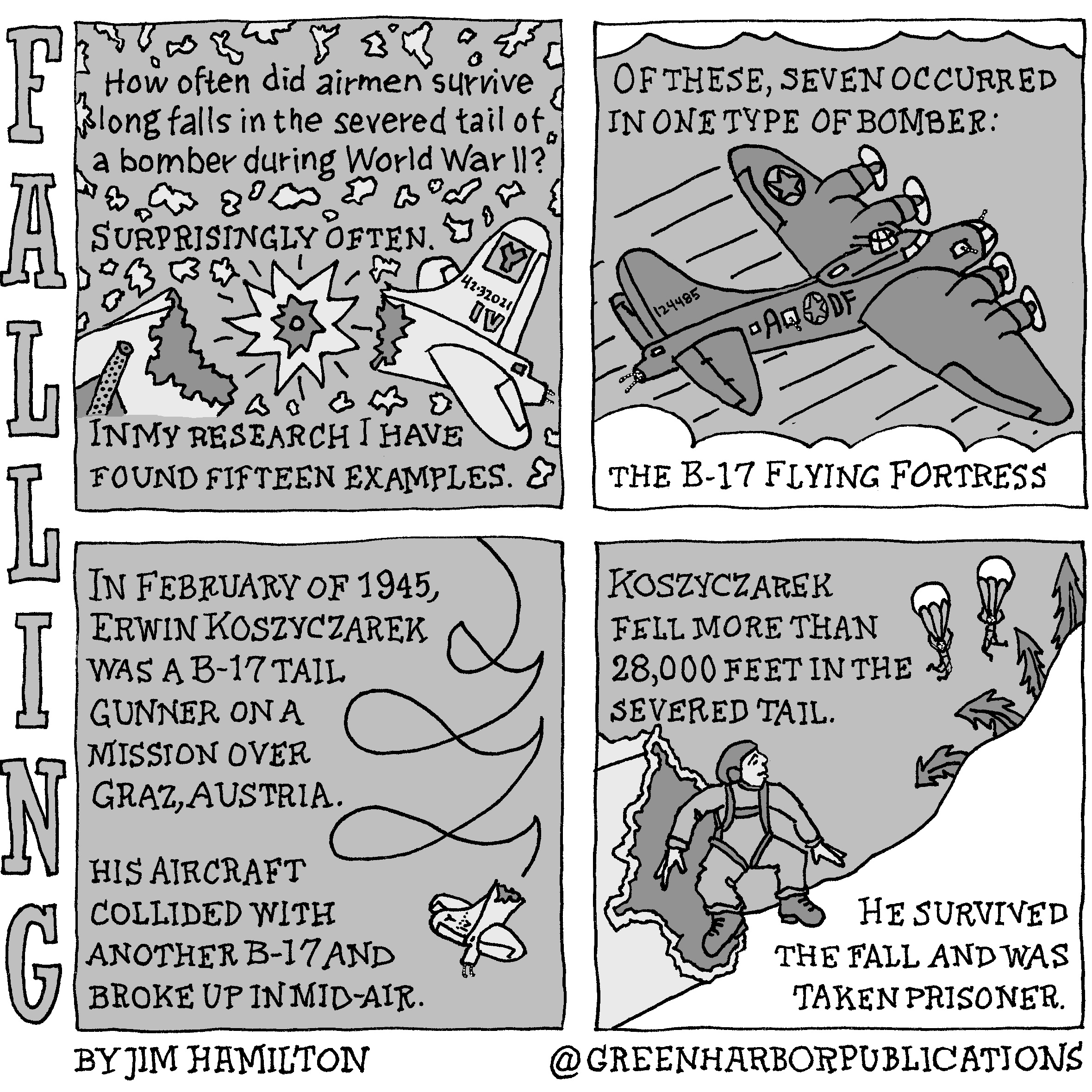 Panel 1: The question, â€œHow often did airmen survive long falls in the severed tail of a bomber during World War II?â€ appears at the top of the panel. The answer directly below reads, â€œSurprisingly often.â€ This text appears on a gray background with an illustration showing the back portion of a World War II bomber at the moment that an explosion detaches the tail section from the rest of the fuselage. Below the bomber is the text, â€œIn my research I have found fifteen examples.â€ Panel 2: The next panel is edged at the top and the bottom by cloud-like forms. In the middle, a drawing of a dark gray, four-engine bomber flies from left to right on a medium gray background. The bomber has a star in a circle on one wing and another on the fuselage with the letters ADF. A serial number appears on the tail. The text above and below the bomber reads, â€œOf these, seven occurred in one type of bomber: the B-17 Flying Fortress.â€ Panel 3: On a gray background, the text at the left reads, â€œIn February of 1945, Erwin Koszyczarek was a B-17 tail gunner on a mission over Graz, Austria. His aircraft collided with another B-17 and broke up in mid-air.â€ To the right we see a severed B-17 tail wafting its way toward the ground. Panel 4: At the top left of the panel on a gray background is the text, â€œKoszyczarek fell more than 28,000 feet in the severed tail.â€ Directly below this text we see an airman edging cautiously out of the damaged tail section. Above and to the right, two airmen can be seen parachuting near four fir trees, two of which are bent over as if they had been struck by the falling tail section. Below on a white, snowy background is the text, â€œHe survived the fall and was taken prisoner.â€ This cartoon is part of a series called Falling. It is written and drawn by Jim Hamilton who can be found on Instagram at Green Harbor Publications (all one word, greenharborpublications).