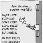 Are cats able to survive long falls?
